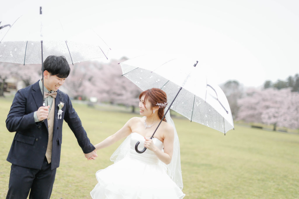 雨の日、昼間にドレスロケーション撮影　桜背景