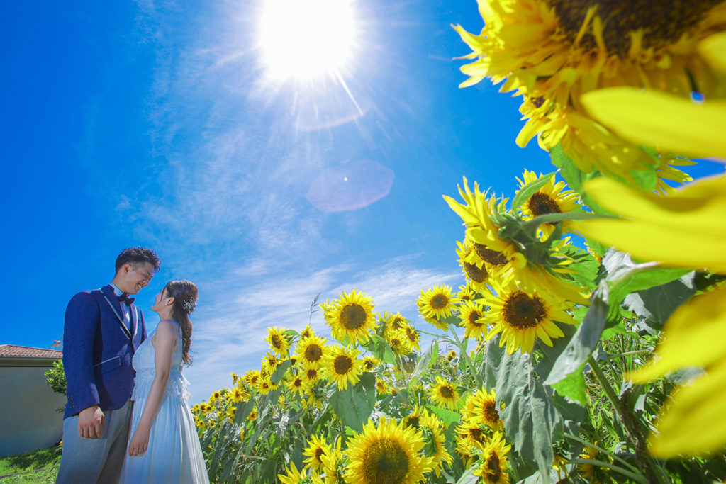 青空、太陽、ヒマワリと新郎新婦