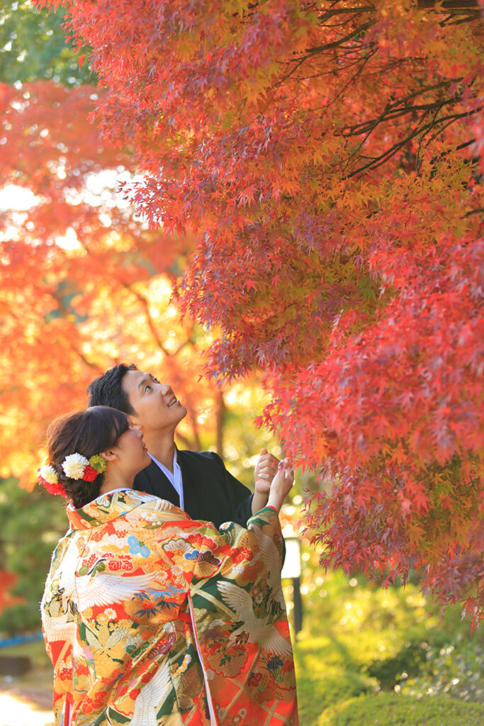 真っ赤な紅葉を見上げる和装の新郎新婦