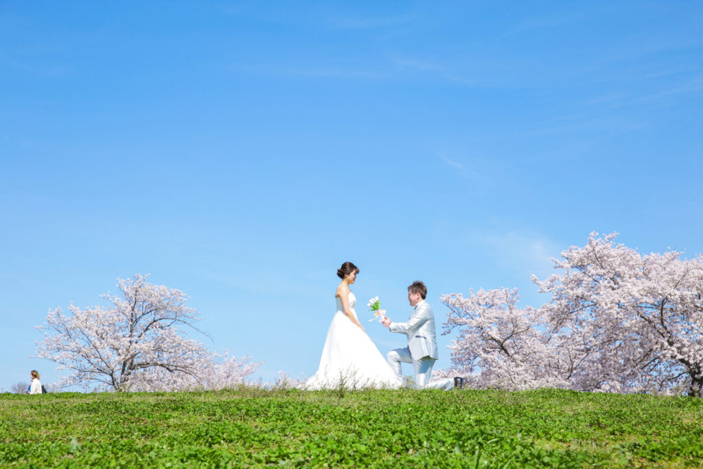 桜を背景に、新郎様がひざまづくプロポーズシーン。
