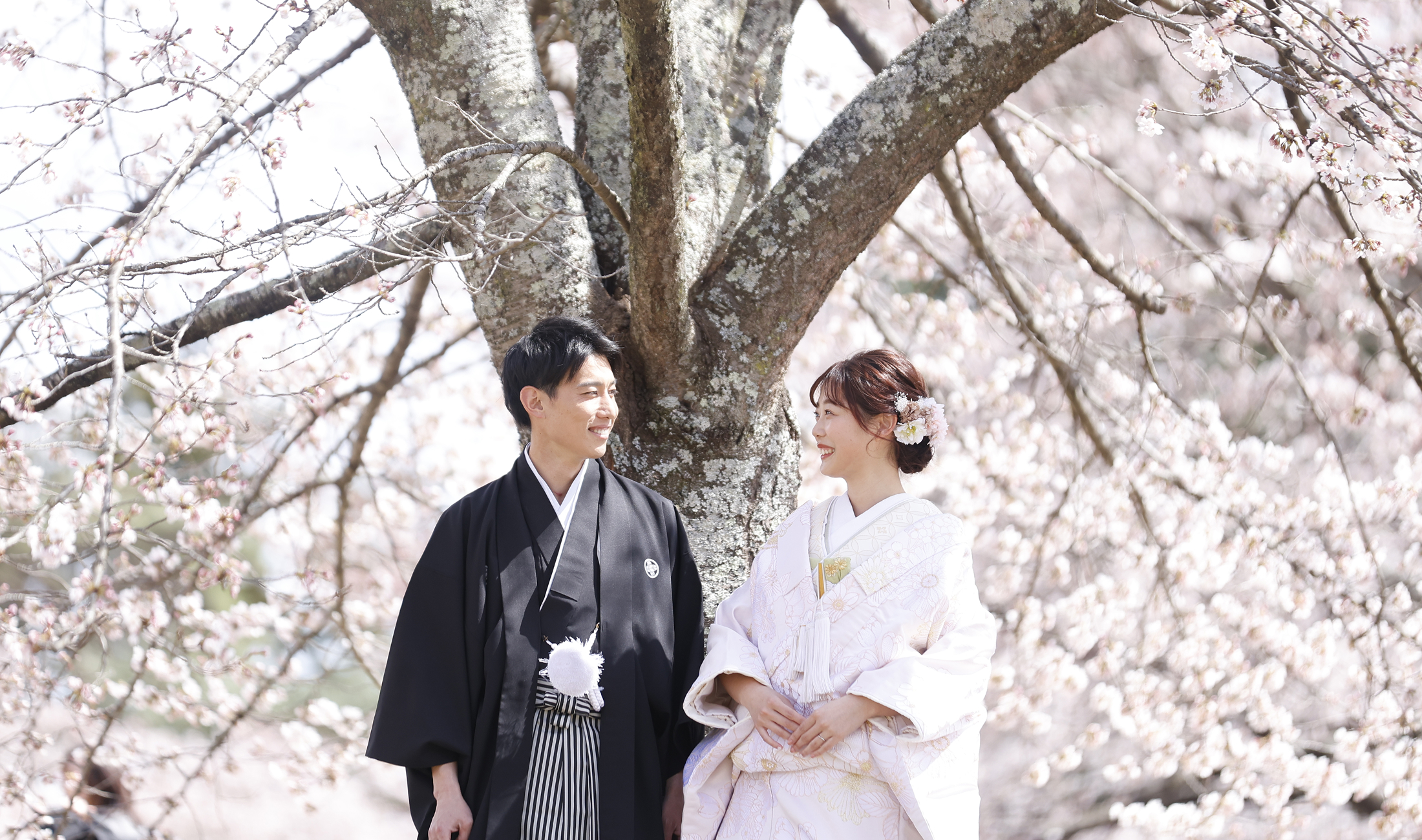 メインビジュアル4