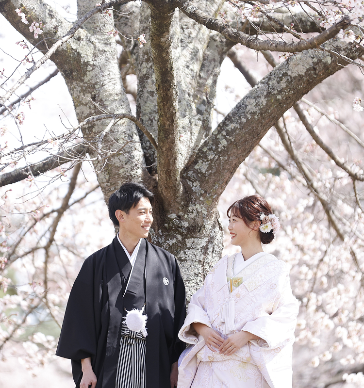 メインビジュアル4