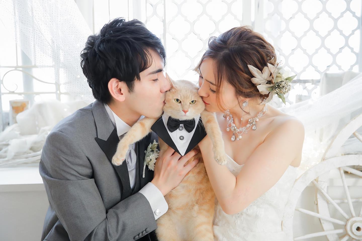 22 02 22 猫の日 結婚写真ならクレール Claire 東京 大阪