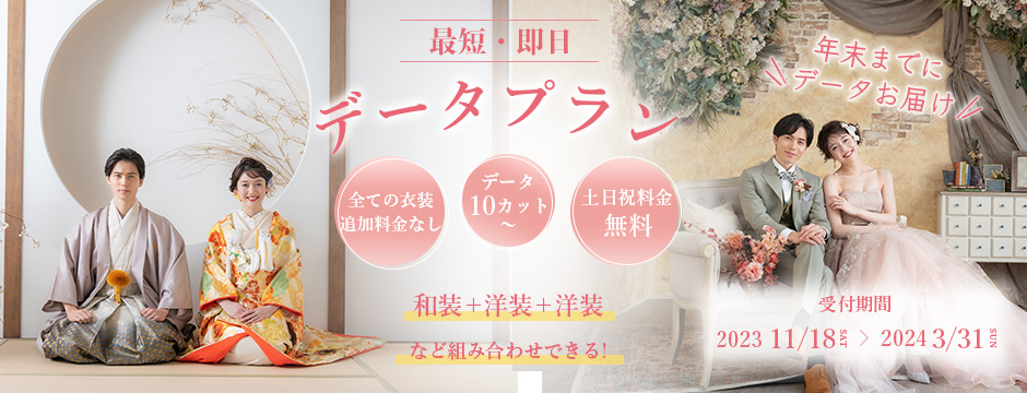 最短即日データプラン