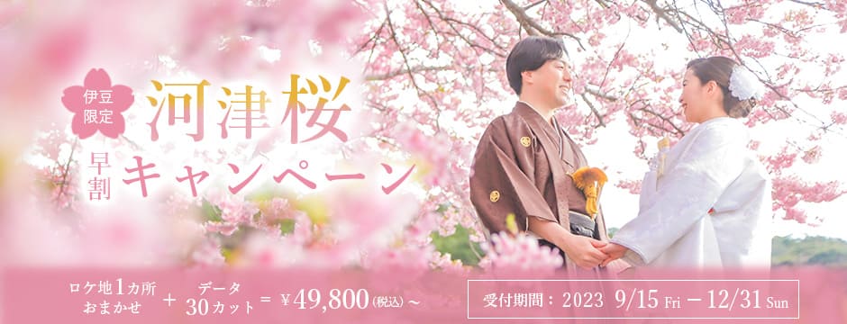 伊豆限定河津桜早割キャンペーン